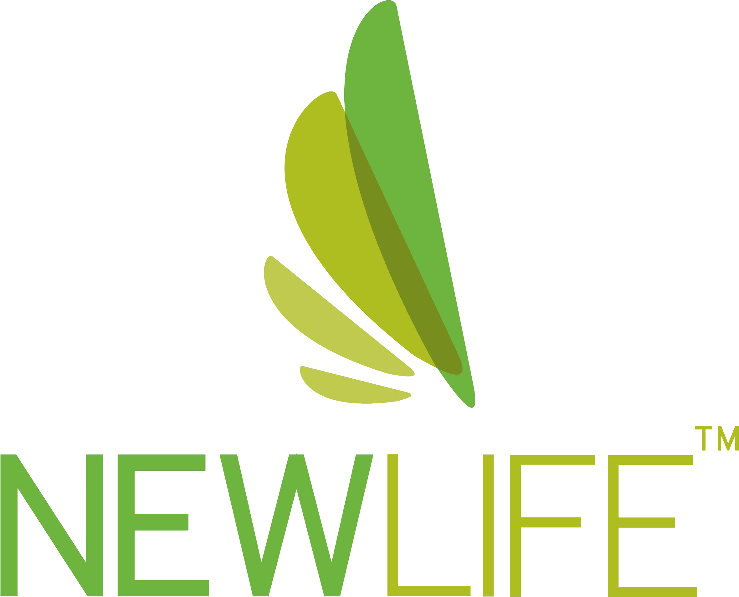 Newlife Today International Logo