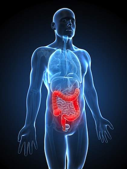 Prevention and Healing of Constipation - Healthy Living