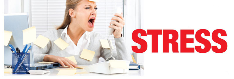 Stress is Simply a Reaction